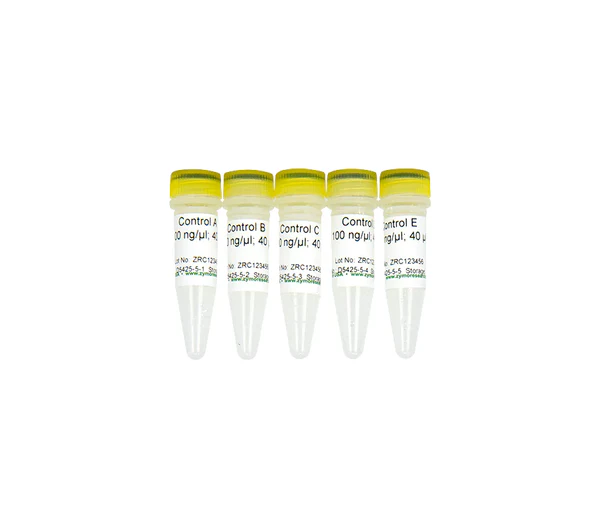Control DNA Set