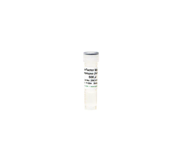 a-Factor Mating Pheromone